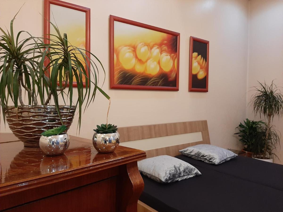Dr Apartment Novi Sad Exterior photo