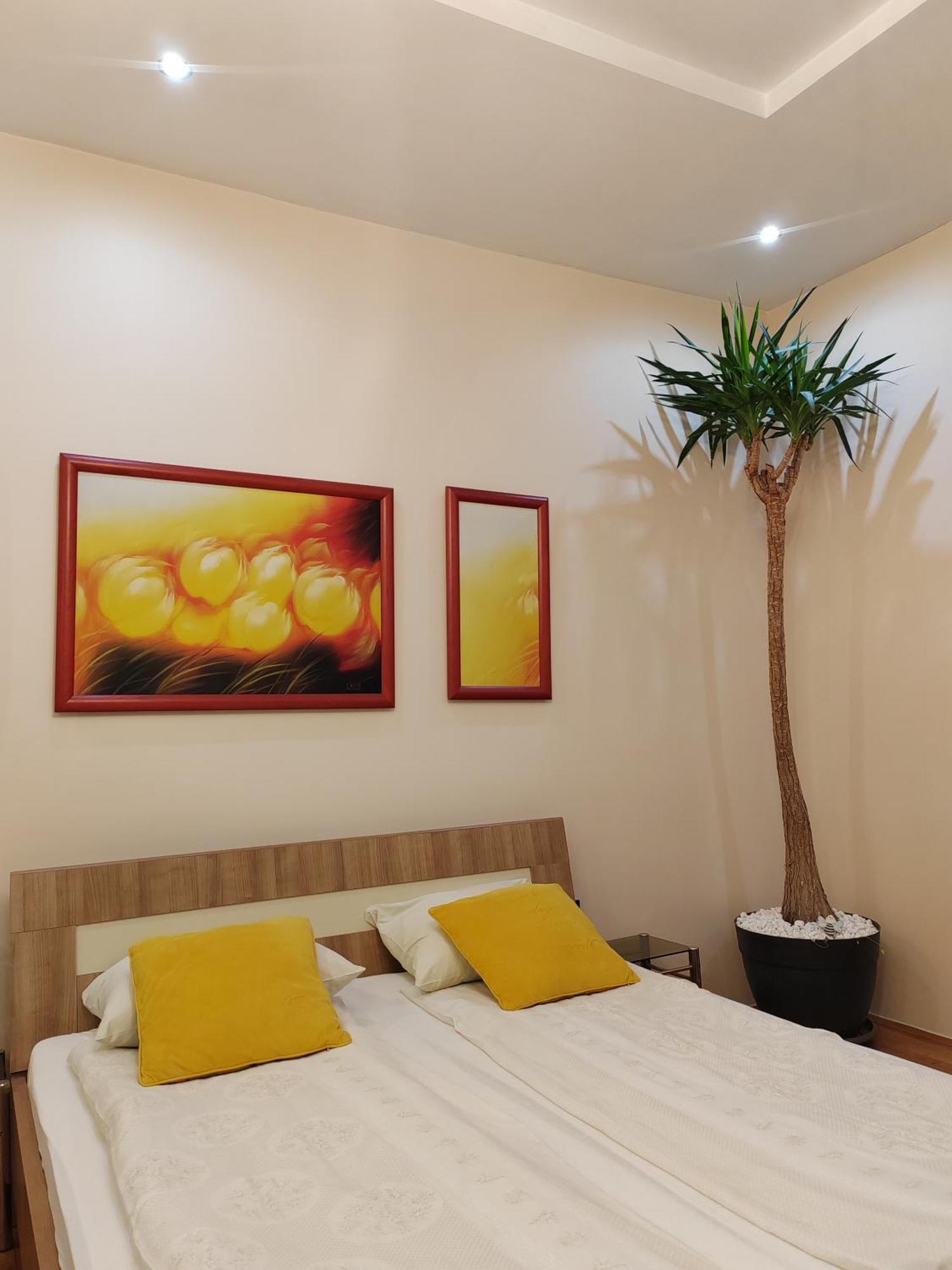 Dr Apartment Novi Sad Exterior photo
