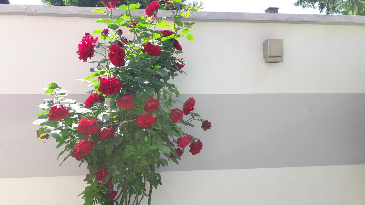 Dr Apartment Novi Sad Exterior photo